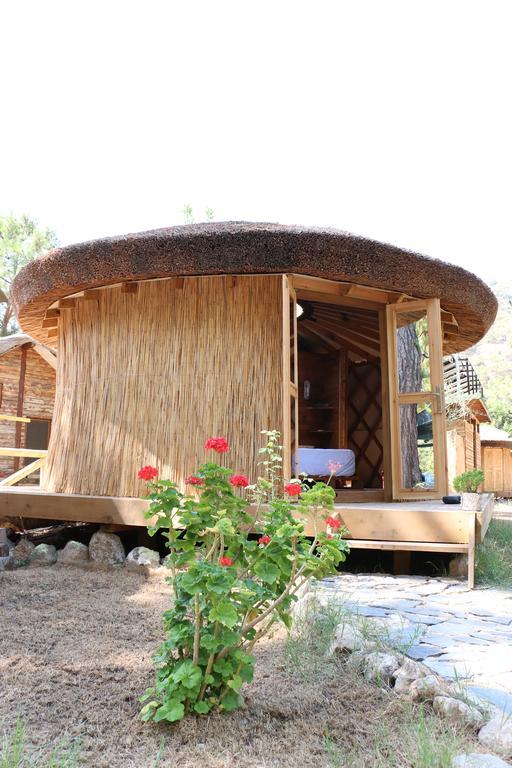 Chakra Beach Kabak Faralya Exteriör bild
